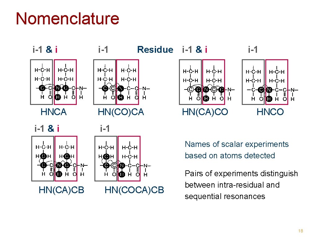 Nomenclature i-1 & i i-1 Residue i-1 & i HNCA HN(CO)CA i-1 & i