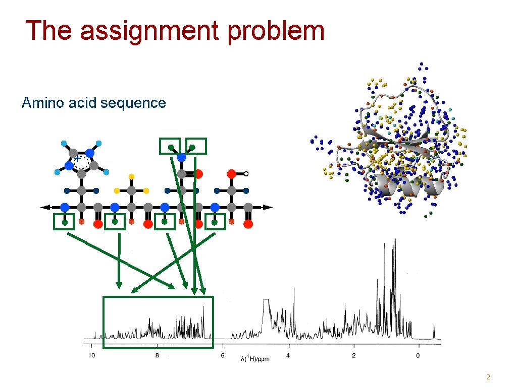 The assignment problem Amino acid sequence + 2 