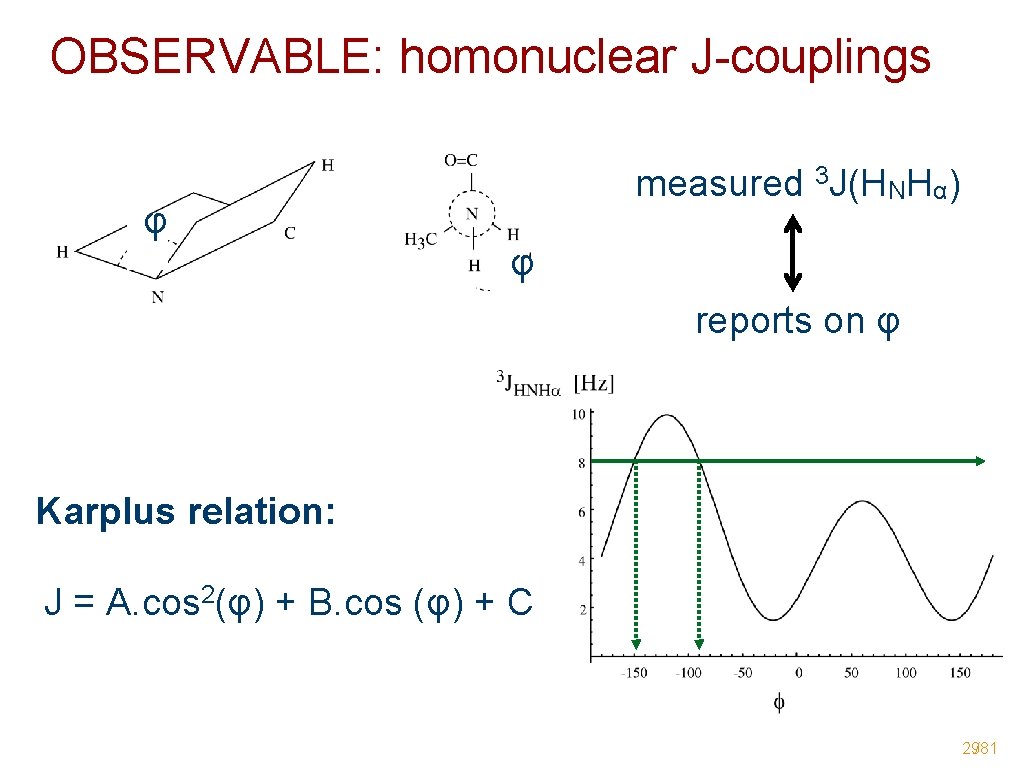 OBSERVABLE: homonuclear J-couplings φ measured 3 J(HNHα) φ reports on φ Karplus relation: J