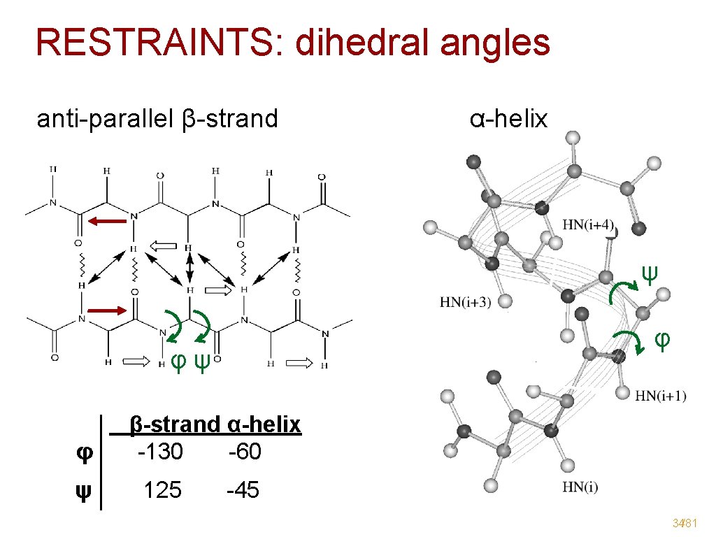 RESTRAINTS: dihedral angles anti-parallel β-strand α-helix ψ φψ φ β-strand α-helix φ -130 -60