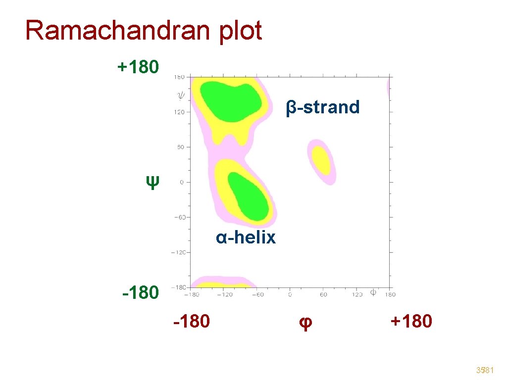 Ramachandran plot +180 β-strand ψ α-helix -180 φ +180 35/81 