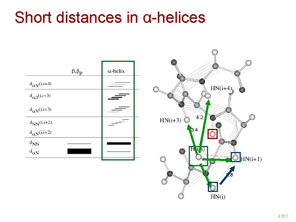 Short distances in α-helices 41/81 