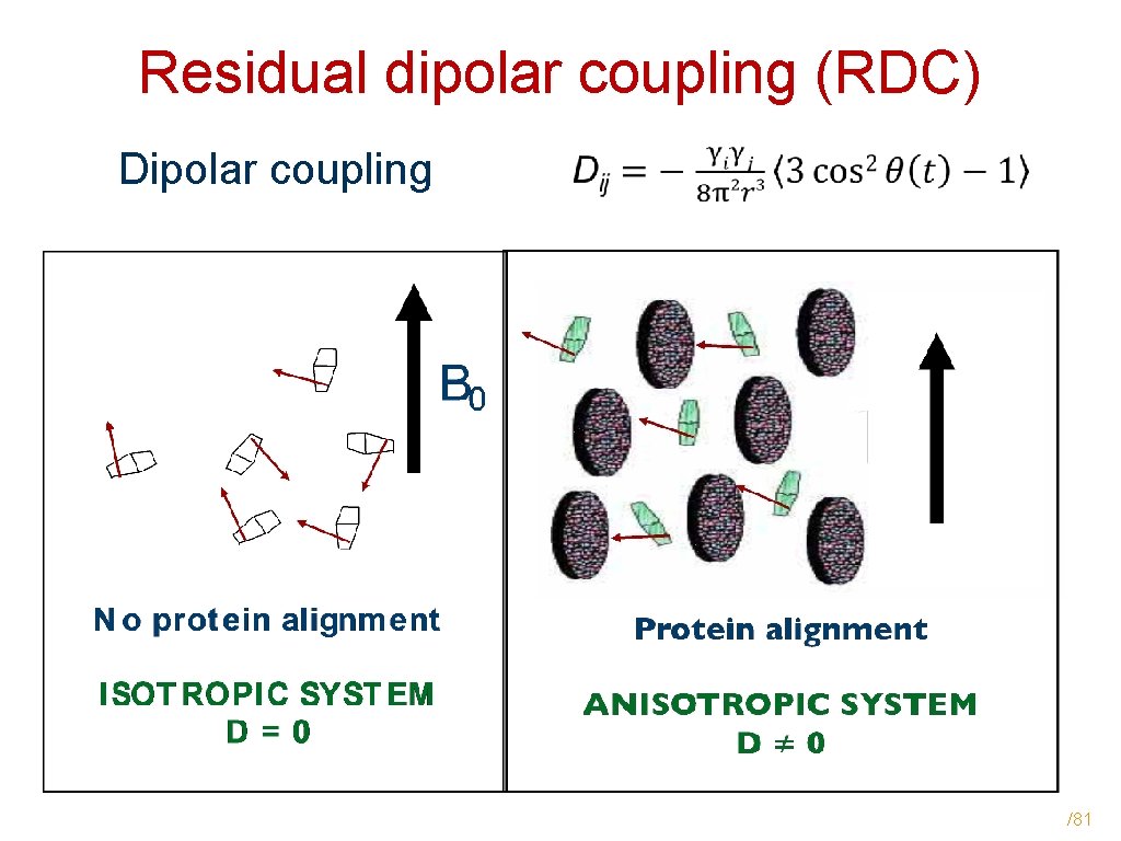 Residual dipolar coupling (RDC) Dipolar coupling /81 