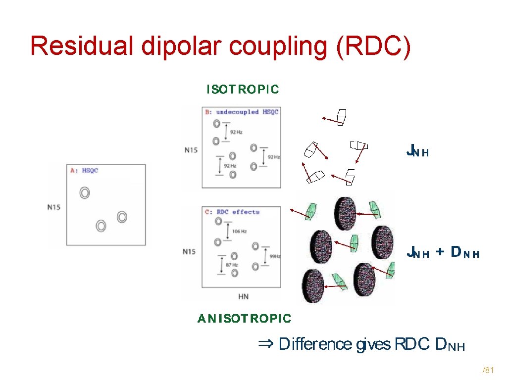 Residual dipolar coupling (RDC) /81 
