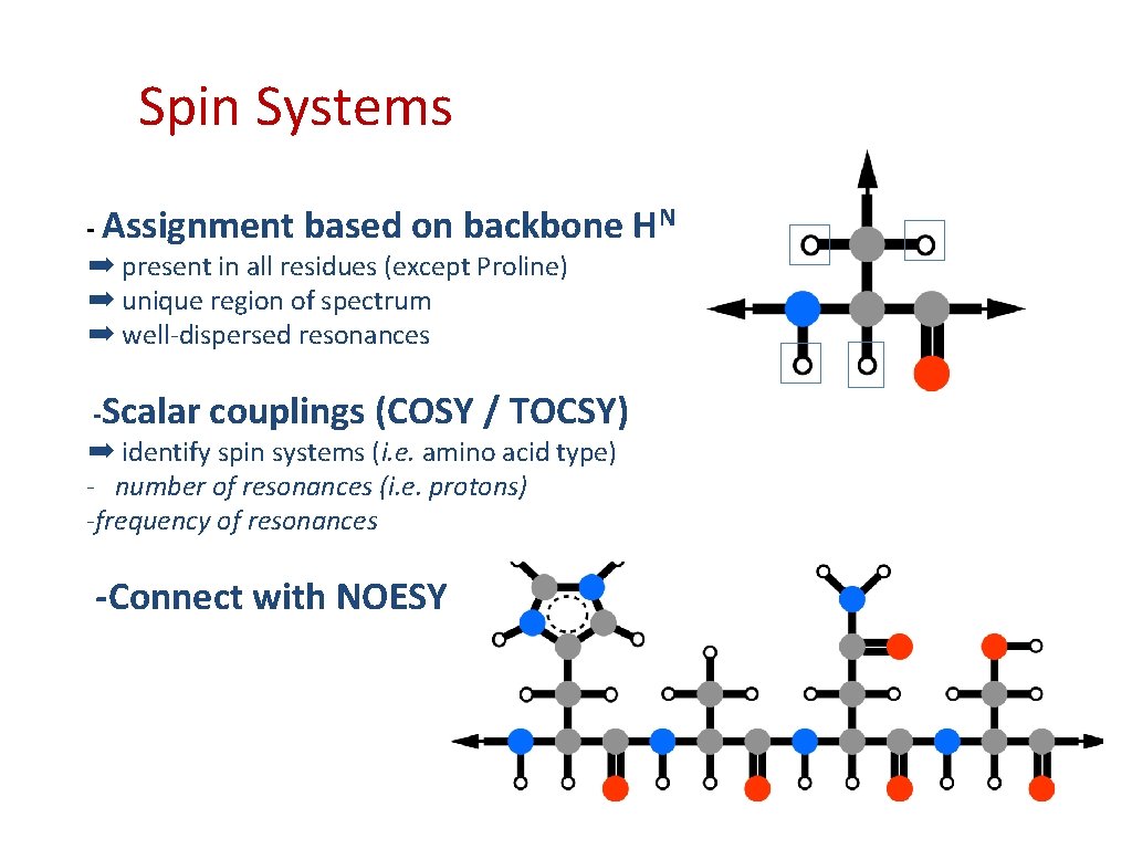 Spin Systems - Assignment based on backbone ➡ present in all residues (except Proline)