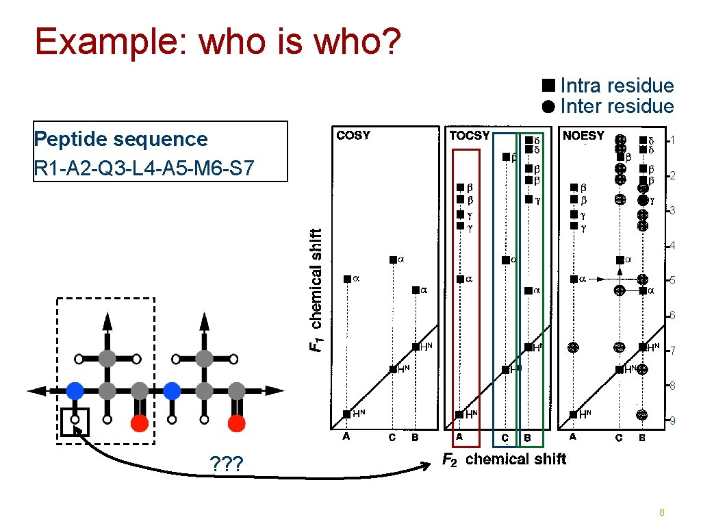 Example: who is who? Intra residue Inter residue Peptide sequence R 1 -A 2