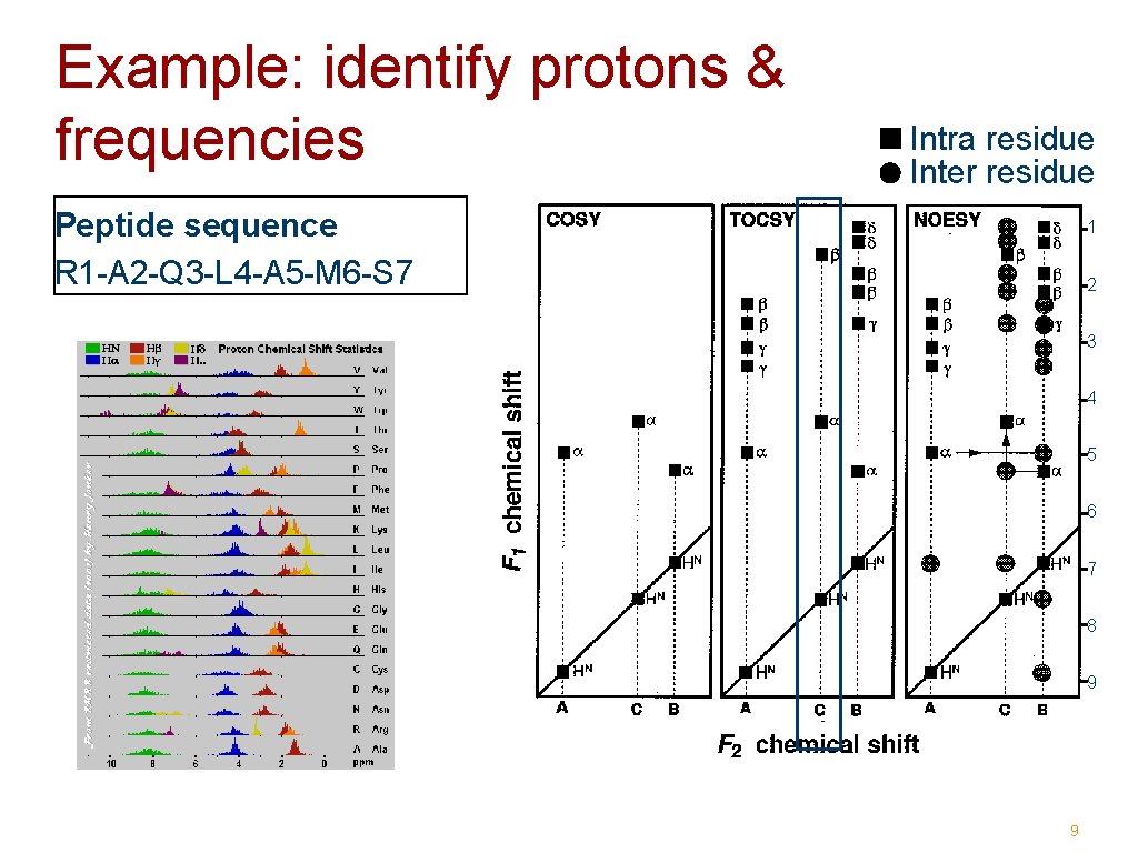 Example: identify protons & frequencies Intra residue Inter residue Peptide sequence R 1 -A