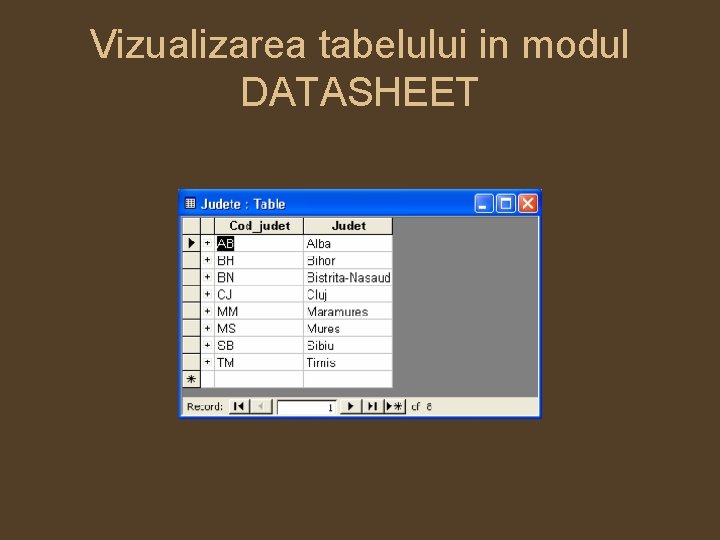 Vizualizarea tabelului in modul DATASHEET 