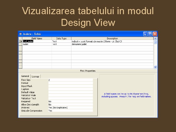 Vizualizarea tabelului in modul Design View 