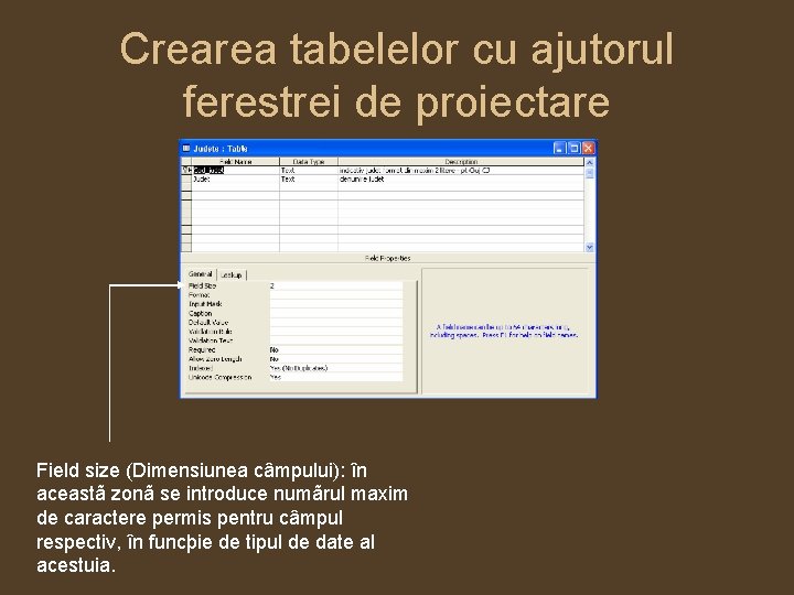 Crearea tabelelor cu ajutorul ferestrei de proiectare Field size (Dimensiunea câmpului): în aceastã zonã