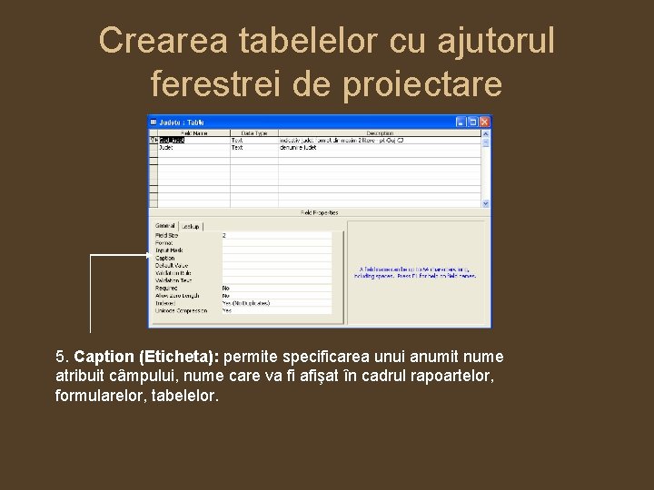 Crearea tabelelor cu ajutorul ferestrei de proiectare 5. Caption (Eticheta): permite specificarea unui anumit