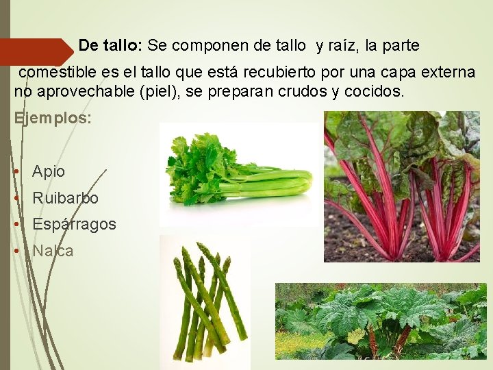 • De tallo: Se componen de tallo y raíz, la parte comestible es • De tallo: Se componen de tallo y raíz, la parte comestible es