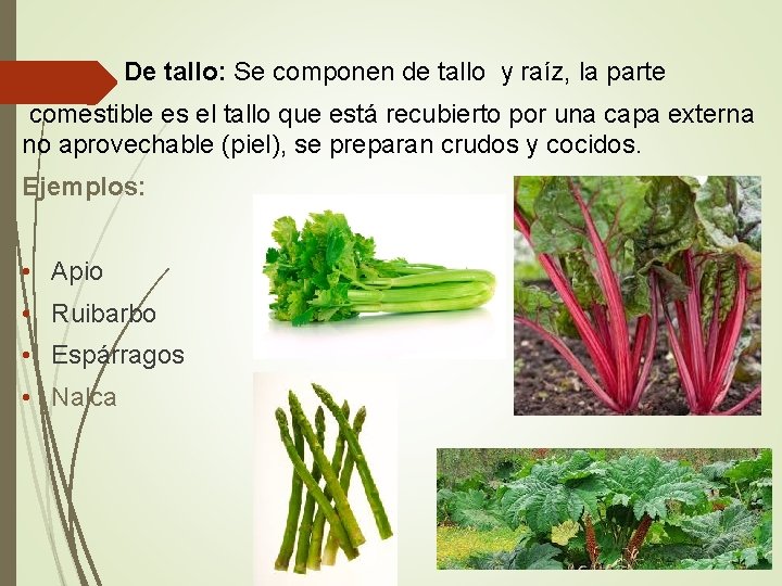  • De tallo: Se componen de tallo y raíz, la parte comestible es