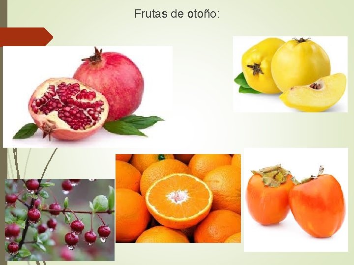 Frutas de otoño: 