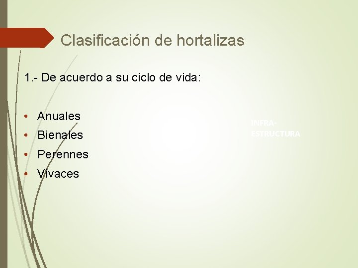 Clasificación de hortalizas 1. - De acuerdo a su ciclo de vida: • Anuales Clasificación de hortalizas 1. - De acuerdo a su ciclo de vida: • Anuales