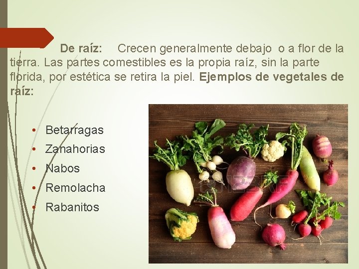 De raíz: Crecen generalmente debajo o a flor de la tierra. Las partes De raíz: Crecen generalmente debajo o a flor de la tierra. Las partes