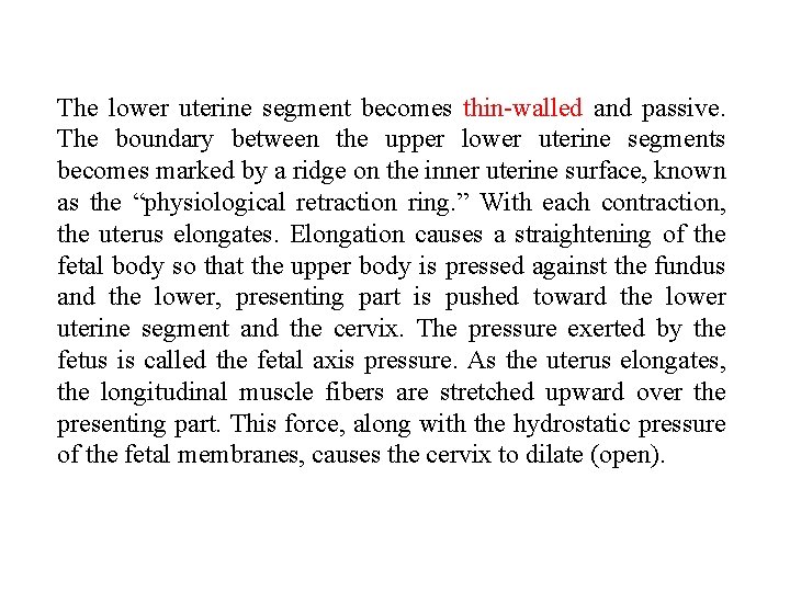 The lower uterine segment becomes thin-walled and passive. The boundary between the upper lower