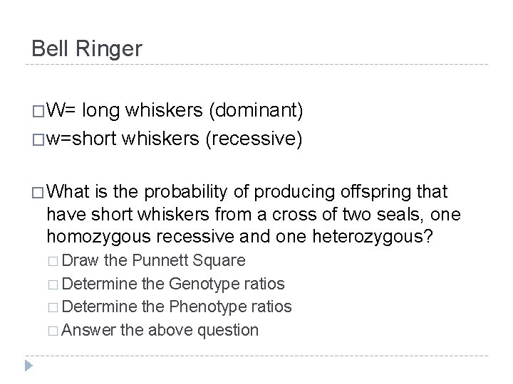 Bell Ringer �W= long whiskers (dominant) �w=short whiskers (recessive) � What is the probability