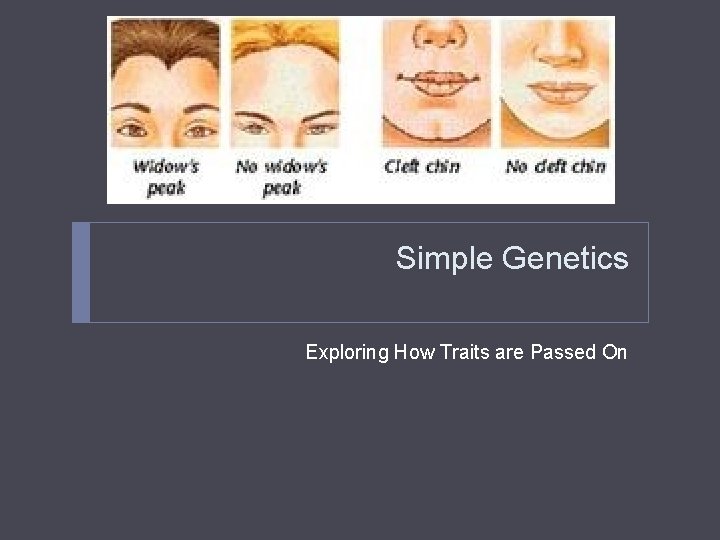 Simple Genetics Exploring How Traits are Passed On Simple Genetics Exploring How Traits are Passed On