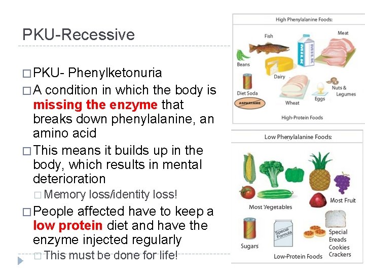 PKU-Recessive � PKU- Phenylketonuria � A condition in which the body is missing the PKU-Recessive � PKU- Phenylketonuria � A condition in which the body is missing the