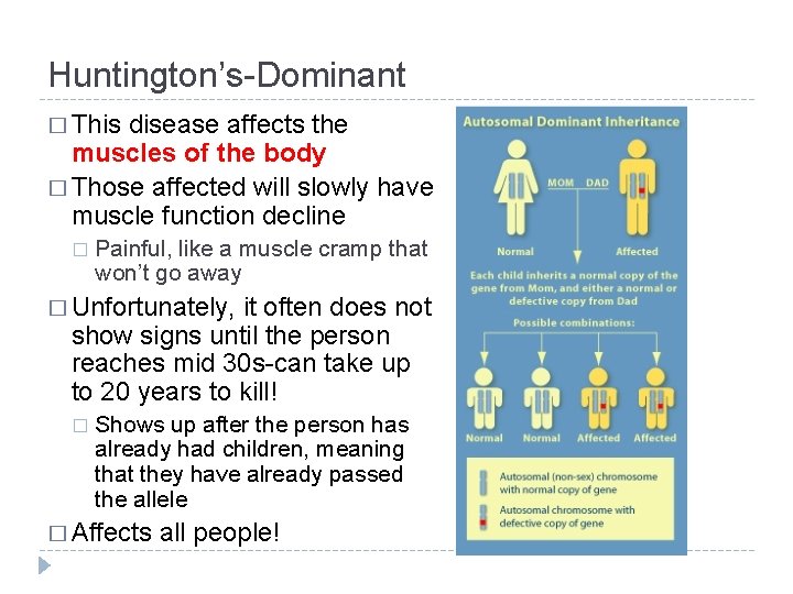 Huntington’s-Dominant � This disease affects the muscles of the body � Those affected will Huntington’s-Dominant � This disease affects the muscles of the body � Those affected will