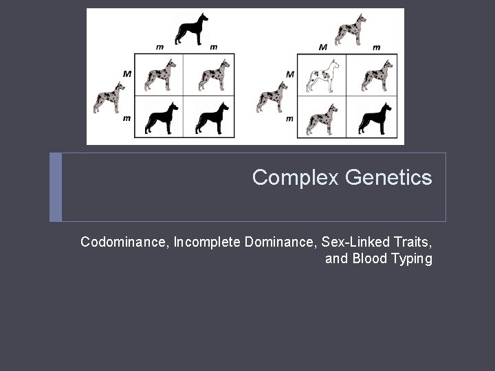 Complex Genetics Codominance, Incomplete Dominance, Sex-Linked Traits, and Blood Typing Complex Genetics Codominance, Incomplete Dominance, Sex-Linked Traits, and Blood Typing