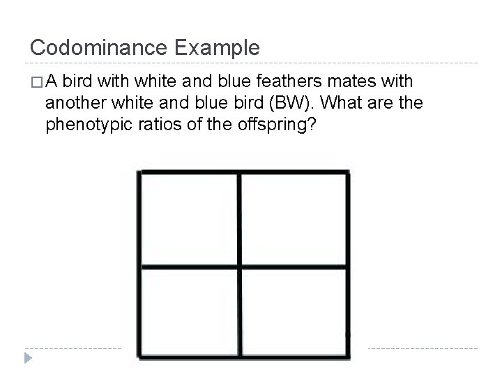Codominance Example �A bird with white and blue feathers mates with another white and Codominance Example �A bird with white and blue feathers mates with another white and