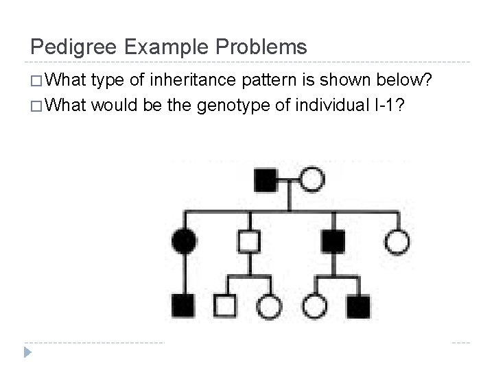 Pedigree Example Problems � What type of inheritance pattern is shown below? � What