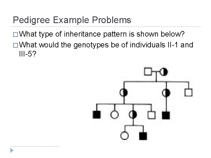 Pedigree Example Problems � What type of inheritance pattern is shown below? � What