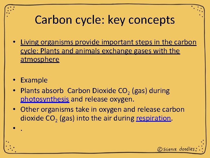 Carbon cycle: key concepts • Living organisms provide important steps in the carbon cycle: