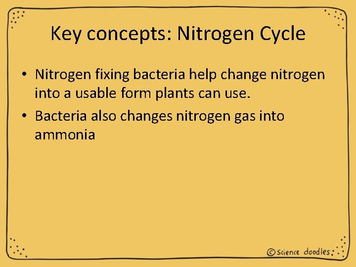 Key concepts: Nitrogen Cycle • Nitrogen fixing bacteria help change nitrogen into a usable