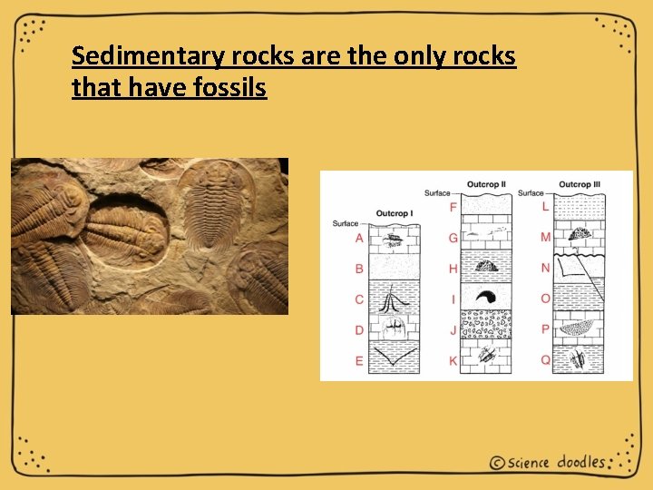 Sedimentary rocks are the only rocks that have fossils 