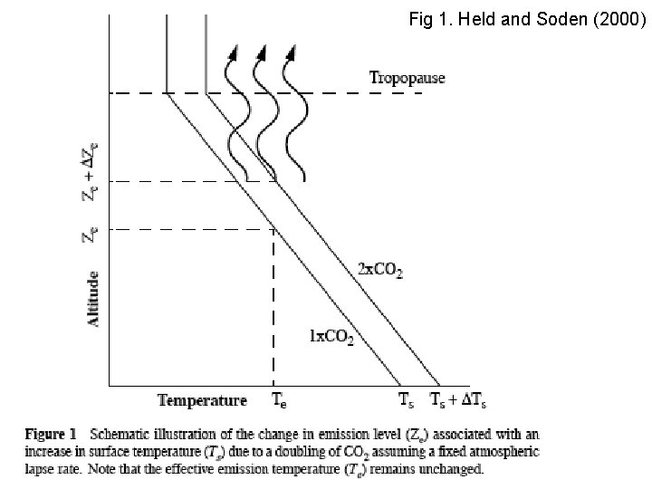 Fig 1. Held and Soden (2000) 