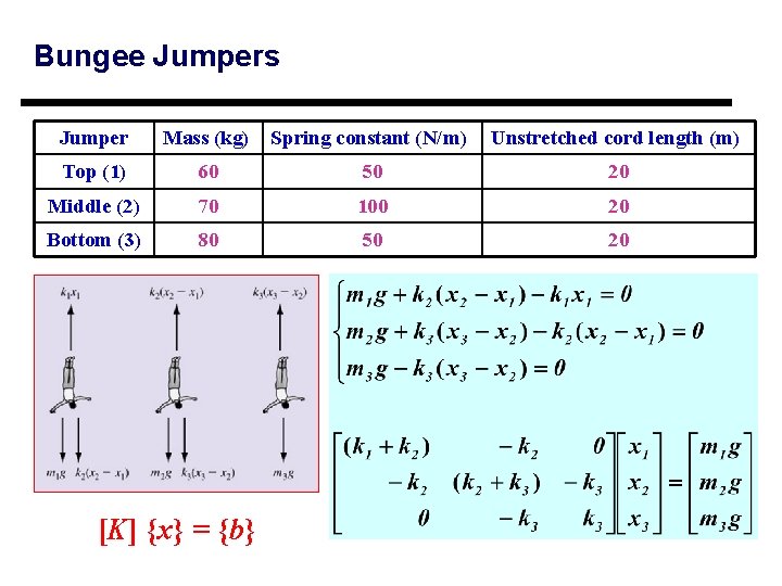 Bungee Jumpers Jumper Mass (kg) Spring constant (N/m) Unstretched cord length (m) Top (1)