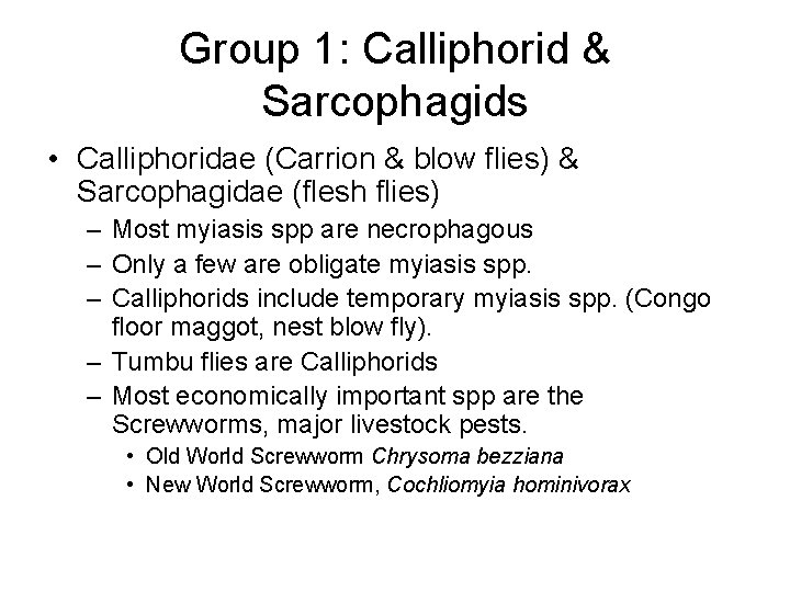 Group 1: Calliphorid & Sarcophagids • Calliphoridae (Carrion & blow flies) & Sarcophagidae (flesh