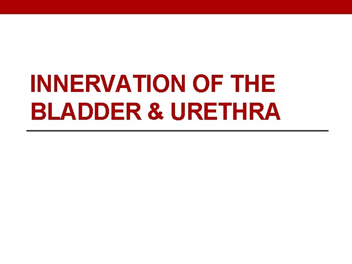 INNERVATION OF THE BLADDER & URETHRA 