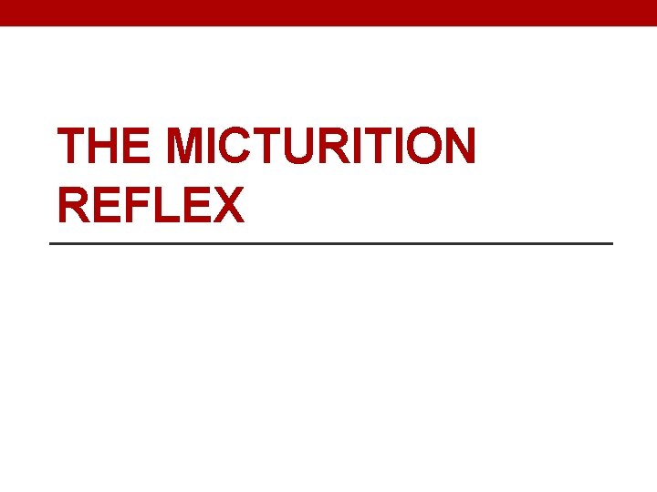 THE MICTURITION REFLEX 