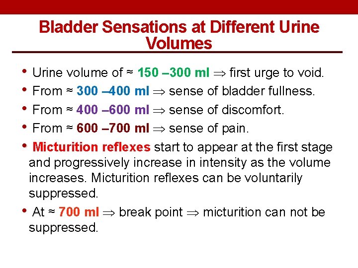 Bladder Sensations at Different Urine Volumes • Urine volume of ≈ 150 – 300