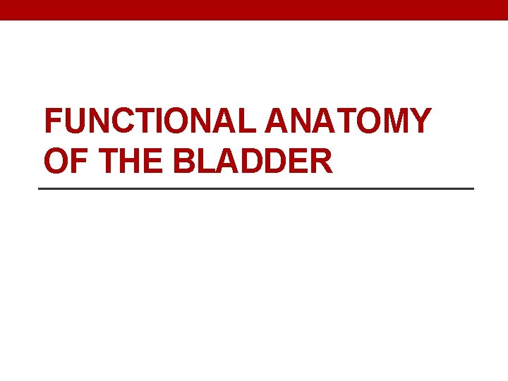 FUNCTIONAL ANATOMY OF THE BLADDER 