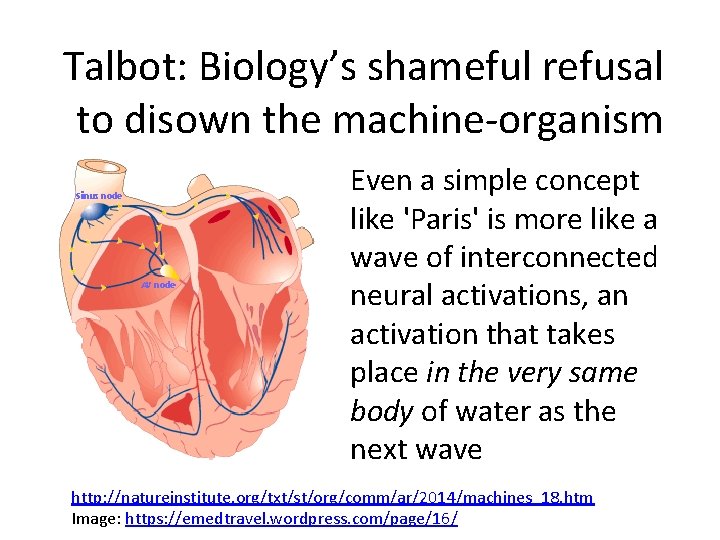 Talbot: Biology’s shameful refusal to disown the machine-organism Even a simple concept like 'Paris'