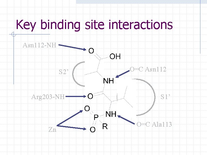 Key binding site interactions Asn 112 -NH S 2’ Arg 203 -NH Zn O=C