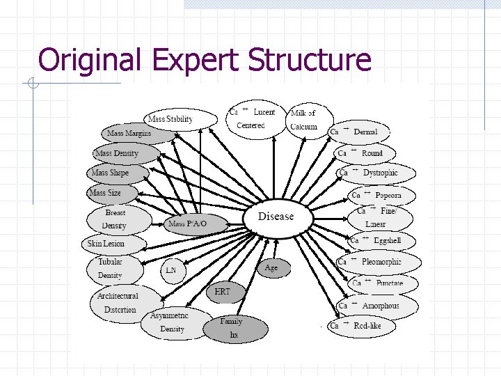 Original Expert Structure 