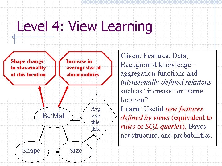 Level 4: View Learning Shape change in abnormality at this location Increase in average