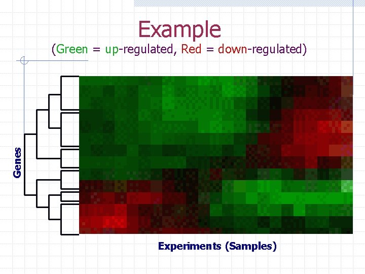 Example Genes (Green = up-regulated, Red = down-regulated) Experiments (Samples) 