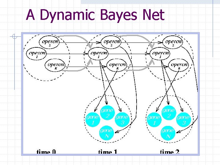 A Dynamic Bayes Net gene 2 gene 1 3 gene N 