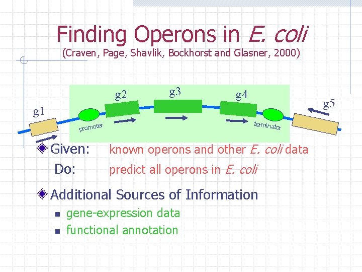 Finding Operons in E. coli (Craven, Page, Shavlik, Bockhorst and Glasner, 2000) g 2