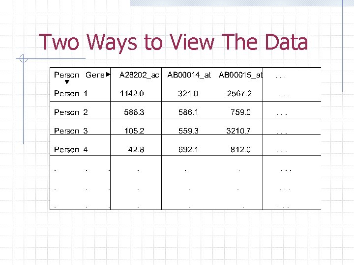 Two Ways to View The Data 