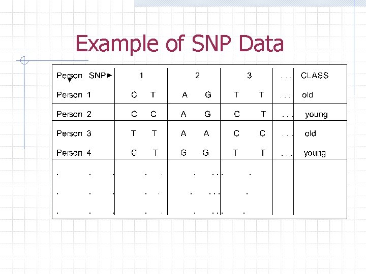 Example of SNP Data 