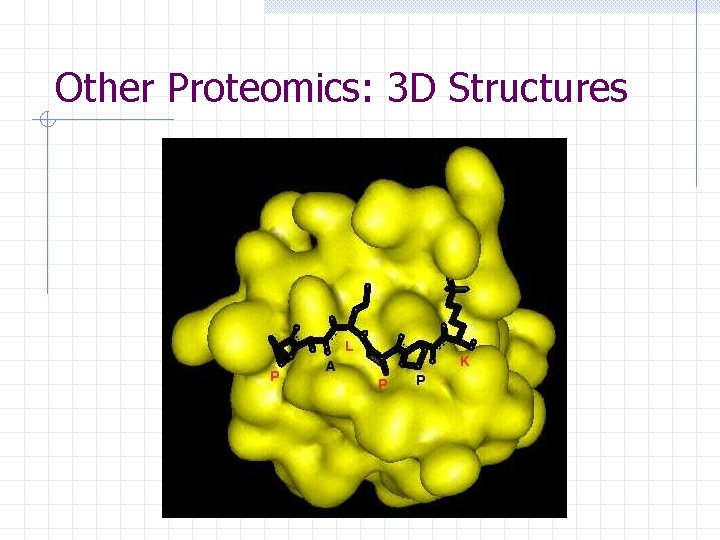 Other Proteomics: 3 D Structures 