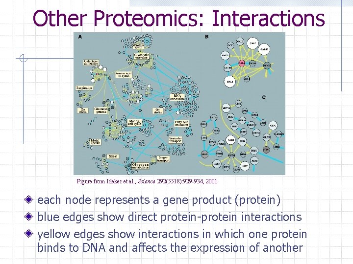 Other Proteomics: Interactions Figure from Ideker et al. , Science 292(5518): 929 -934, 2001